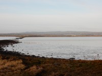 Rosslare Back Strand